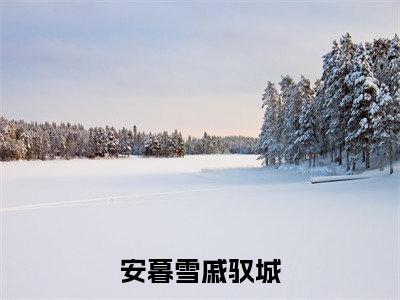 安暮雪戚驭城（安暮雪戚驭城）在线阅读的小说完整版-安暮雪戚驭城（安暮雪戚驭城）小说免费阅读