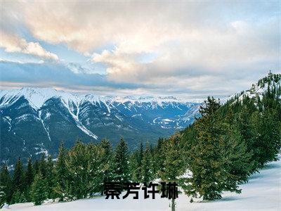 秦芳许琳热门小说许琳秦芳最新章节免费阅读-完结版全文许琳秦芳小说在线阅读