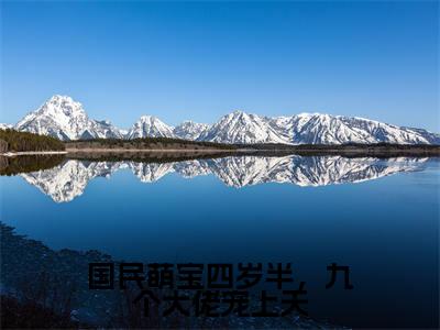 国民萌宝四岁半,九个大佬宠上天精彩章节免费阅读_(俞鱼)国民萌宝四岁半,九个大佬宠上天抖音热推小说最新章节阅读