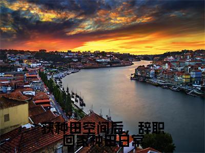 获种田空间后,辞职回家种田日常小说_林嫣木凌全文阅读获种田空间后,辞职回家种田日常小说免费阅读笔趣阁