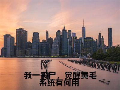 我一丧尸,觉醒黄毛系统有何用 (张辰)精彩小说-小说张辰全文无删减版免费阅读