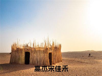 精选热门高杰宋佳禾全文无删减版在线阅读