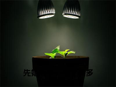 先婚后爱,余生请多指教(陆旻岑沈洛瑶)小说全文免费阅读_先婚后爱,余生请多指教最新章节小说免费阅读_笔趣阁陆旻岑沈洛瑶