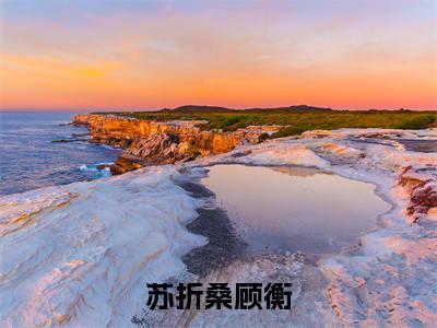 顾衡苏折桑(苏折桑顾衡)全文免费阅读无弹窗大结局_顾衡苏折桑免费最新章节列表_笔趣阁
