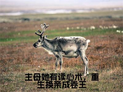 主母她有读心术,重生换亲成卷王(叶沐芸)最新章节在线阅读-老书虫推荐主母她有读心术,重生换亲成卷王小说