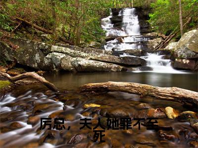 厉总,夫人她罪不至死是什么小说-厉景深沈知初全文免费阅读无弹窗大结局(厉总,夫人她罪不至死)最新章节阅读