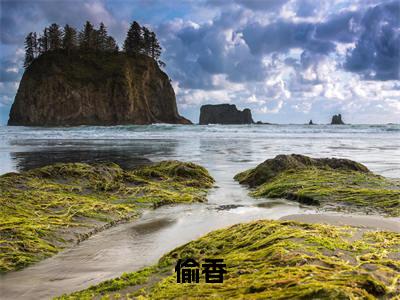 偷香(顾致姜锦)小说全文无删减版_偷香最新章节列表_笔趣阁(顾致姜锦)