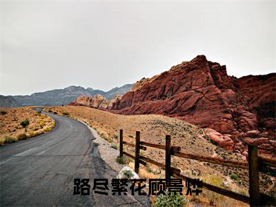 路尽繁花顾景烨（路尽繁花顾景烨）小说在线阅读_路尽繁花顾景烨全本免费小说阅读（宋婷婷顾景烨）