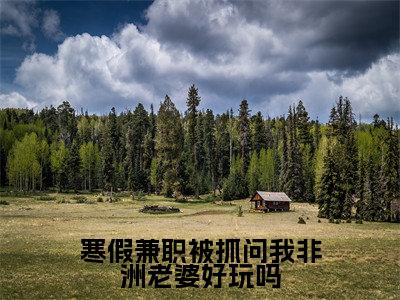 寒假兼职被抓问我非洲老婆好玩吗(赵恒)全文小说免费阅读_(赵恒)寒假兼职被抓问我非洲老婆好玩吗最新章节列表