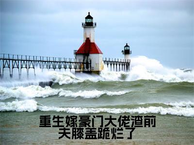 重生嫁豪门大佬渣前夫膝盖跪烂了(姜绾顾怀宴)全文免费阅读无弹窗大结局_(姜绾顾怀宴小说免费阅读)_笔趣阁