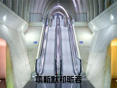 项靳默祁昕若(祁昕若项靳默)笔趣阁免费小说_项靳默祁昕若笔趣阁最新章节祁昕若项靳默免费在线阅读大结局