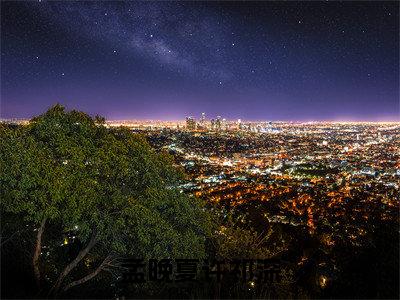 孟晚夏许祁深小说（许祁深孟晚夏）全文免费阅读_（许祁深孟晚夏）孟晚夏许祁深最新章节列表笔趣阁