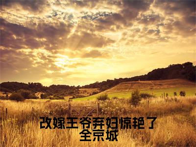 秦淮素傅显(改嫁王爷弃妇惊艳了全京城)小说全文免费阅读-秦淮素傅显免费阅读完整版