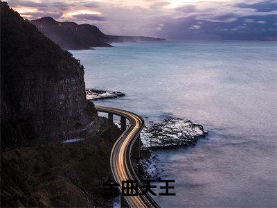 金曲天王（李飞）最新免费阅读-金曲天王小说在线阅读