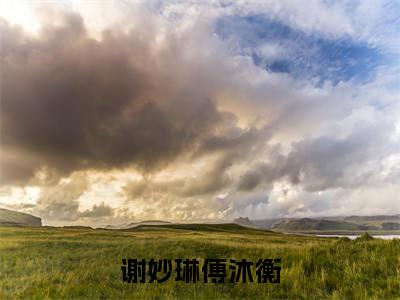 傅沐衡谢妙琳(谢妙琳傅沐衡)全文免费阅读无弹窗大结局_谢妙琳傅沐衡最新章节列表_笔趣阁(傅沐衡谢妙琳)