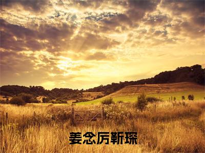 姜念厉靳琛热门小说姜念厉靳琛最新章节免费阅读-完结版全文姜念厉靳琛小说在线阅读