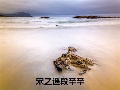 段辛辛宋之遥全集小说（宋之遥段辛辛）全文免费阅读无弹窗大结局_段辛辛宋之遥最新章节列表_笔趣阁（宋之遥段辛辛）