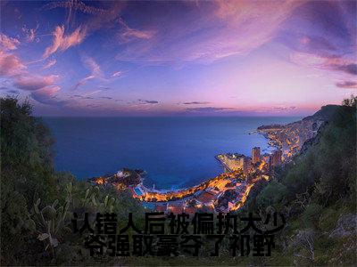 认错人后被偏执大少爷强取豪夺了祁野小说(顾惜祁野)全文免费阅读无弹窗大结局_顾惜祁野最新章节列表(顾惜祁野)