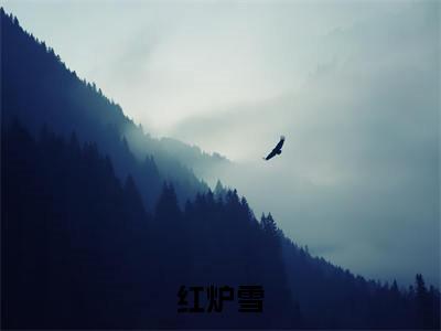 红炉雪(戚玦裴熠全文在线阅读)-红炉雪免费阅读