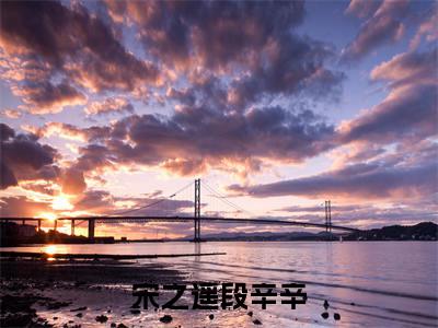 宋之遥段辛辛精彩小说赏析全文段辛辛宋之遥热门小说免费阅读