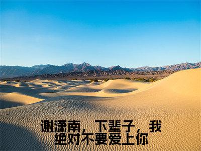 谢潇南，下辈子，我绝对不要爱上你全文免费阅读无弹窗大结局_（赵时予谢潇南在线阅读）谢潇南，下辈子，我绝对不要爱上你最新章节完整版阅读