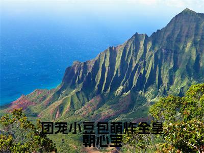 心宝（团宠小豆包萌炸全皇朝心宝）全文免费阅读无弹窗_团宠小豆包萌炸全皇朝心宝最新小说_笔趣阁（心宝）
