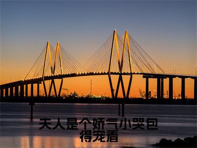 顾景灏沈霏音(夫人是个娇气小哭包得宠着)新上热文免费阅读-顾景灏沈霏音(夫人是个娇气小哭包得宠着)无广告在线阅读