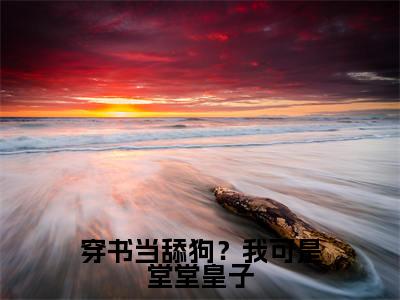 宇文浅小说（穿书当舔狗？我可是堂堂皇子）全文免费阅读无弹窗大结局-穿书当舔狗？我可是堂堂皇子最新热点小说