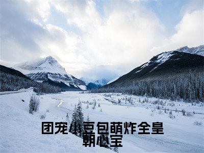 团宠小豆包萌炸全皇朝心宝小说(心宝)小说全文免费心宝读无弹窗大结局笔趣阁(团宠小豆包萌炸全皇朝心宝)