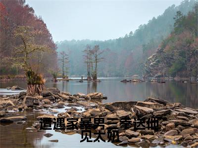 遭遇家暴男三拳送他见太奶全文免费阅读在线阅读娄艺青全文免费阅读最新章节列表_笔趣阁