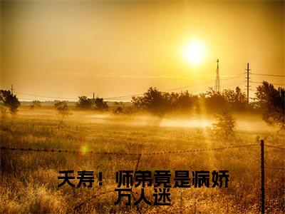 夭寿!师弟竟是病娇万人迷小说主角叫什么沈孟云苏玉全文免费阅读大结局