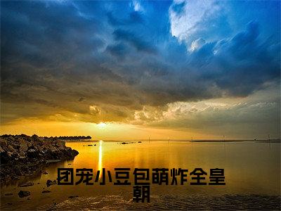 团宠小豆包萌炸全皇朝心宝完整全文在线阅读心宝抖音热推小说全集无删减