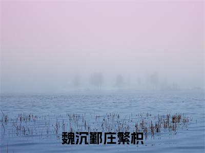 魏沉鄞庄繁枳(庄繁枳魏沉鄞)小说全文免费_魏沉鄞庄繁枳(庄繁枳魏沉鄞)最新章节目录笔趣阁
