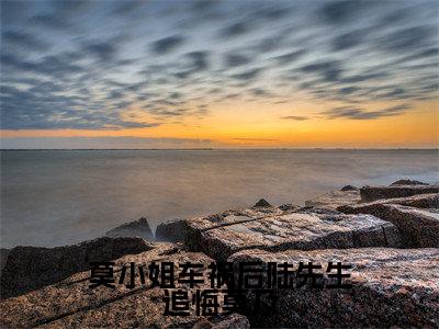 莫小姐车祸后陆先生追悔莫及(莫谨瑜陆景全文阅读)莫谨瑜陆景新书热荐免费小说