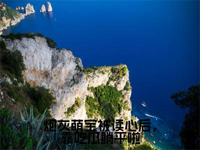 炮灰萌宝被读心后,靠吃瓜躺平啦小说(秋墨白华清清)精彩章节-秋墨白华清清全文免费在线阅读