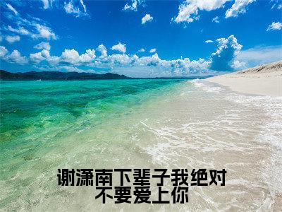 谢潇南下辈子我绝对不要爱上你(赵时予谢潇南)新上热文小说讲的是什么-小说谢潇南下辈子我绝对不要爱上你(赵时予谢潇南)全文免费阅读