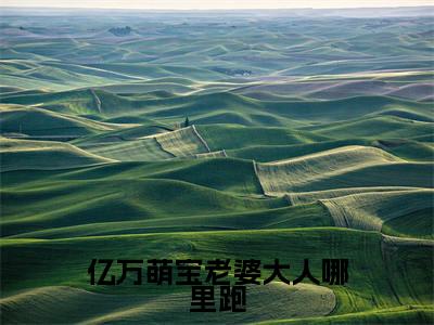 亿万萌宝老婆大人哪里跑小说全文免费阅读(叶苒苒萧司琛)全文免费叶苒苒萧司琛读无弹窗大结局亿万萌宝老婆大人哪里跑