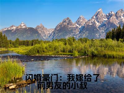 向晚陆司谌(闪婚豪门:我嫁给了前男友的小叔小说)全文免费阅读无弹窗大结局_闪婚豪门:我嫁给了前男友的小叔小说免费阅读最新章节列表_笔趣阁(向晚陆司谌小说)
