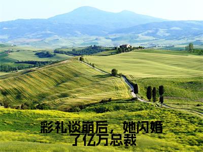 彩礼谈崩后,她闪婚了亿万总裁(秦川南荞)热推现言小说-彩礼谈崩后,她闪婚了亿万总裁小说在哪里可以看全文