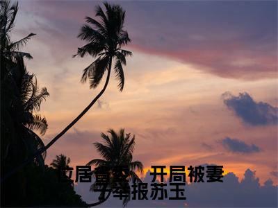精选热门小说位居省委,开局被妻子举报苏玉(苏玉黎锦)-(苏玉黎锦)位居省委,开局被妻子举报苏玉免费阅读