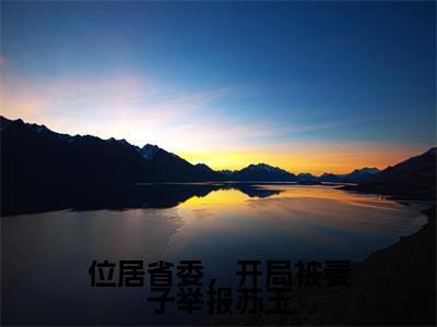 位居省委,开局被妻子举报苏玉(苏玉黎锦小说)全文免费阅读无弹窗大结局_(苏玉黎锦小说)位居省委,开局被妻子举报苏玉最新章节列表