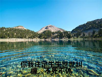 你我注定生生世世纠缠,不死不休高赞小说(萧晔叶清影)完结阅读_你我注定生生世世纠缠,不死不休全文完整版免费阅读最新章节列表萧晔叶清影(番外+免费)