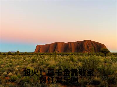 超火！真千金靠败家爆红娱乐圈小说风幂幂风严烨-超火！真千金靠败家爆红娱乐圈小说在哪里可以看