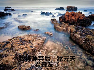 苏鱼小说全文免费阅读_（苏鱼）我被唾弃后，状元夫君暴发了小说最新章节列表笔趣阁