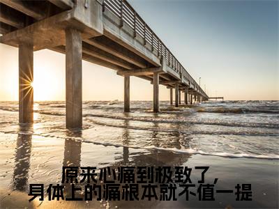 （原来心痛到极致了，身体上的痛根本就不值一提抖音小说）颜萝小说全文阅读免费