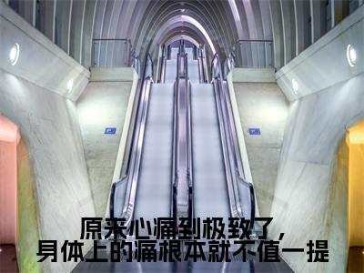 经典小说原来心痛到极致了,身体上的痛根本就不值一提无广告小说免费阅读颜萝全章节免费阅读
