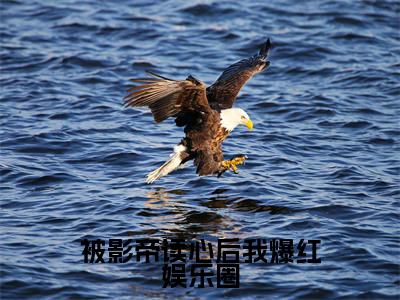 被影帝读心后我爆红娱乐圈(蔺靖川宋予青小说)全文免费阅读无弹窗大结局_被影帝读心后我爆红娱乐圈全文免费阅读_笔趣阁(蔺靖川宋予青)