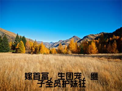 林天越张俏小说全文(嫁首富,生团宠,继子全员护妹狂)全文免费阅读无弹窗大结局_嫁首富,生团宠,继子全员护妹狂小说免费最新章节列表