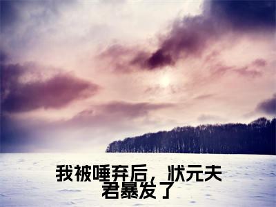 我被唾弃后,状元夫君暴发了(苏鱼)全文免费阅读无弹窗大结局_(我被唾弃后,状元夫君暴发了)苏鱼全文免费完结版阅读