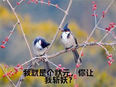 我就是个状元,你让我斩妖?(吴道玄李三平)小说全文免费阅读无弹窗-我就是个状元,你让我斩妖?全章节在线阅读